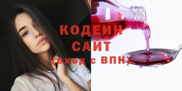a pvp Бородино