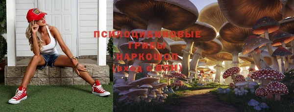 a pvp Бородино