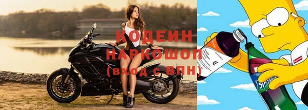 a pvp Бородино